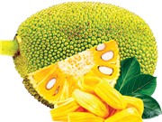 Cốm lợi khuẩn từ mít Thái